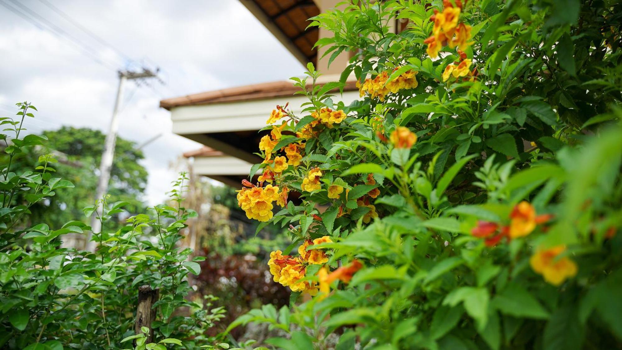 Laph Kham House Aparthotel เชียงใหม่ ภายนอก รูปภาพ