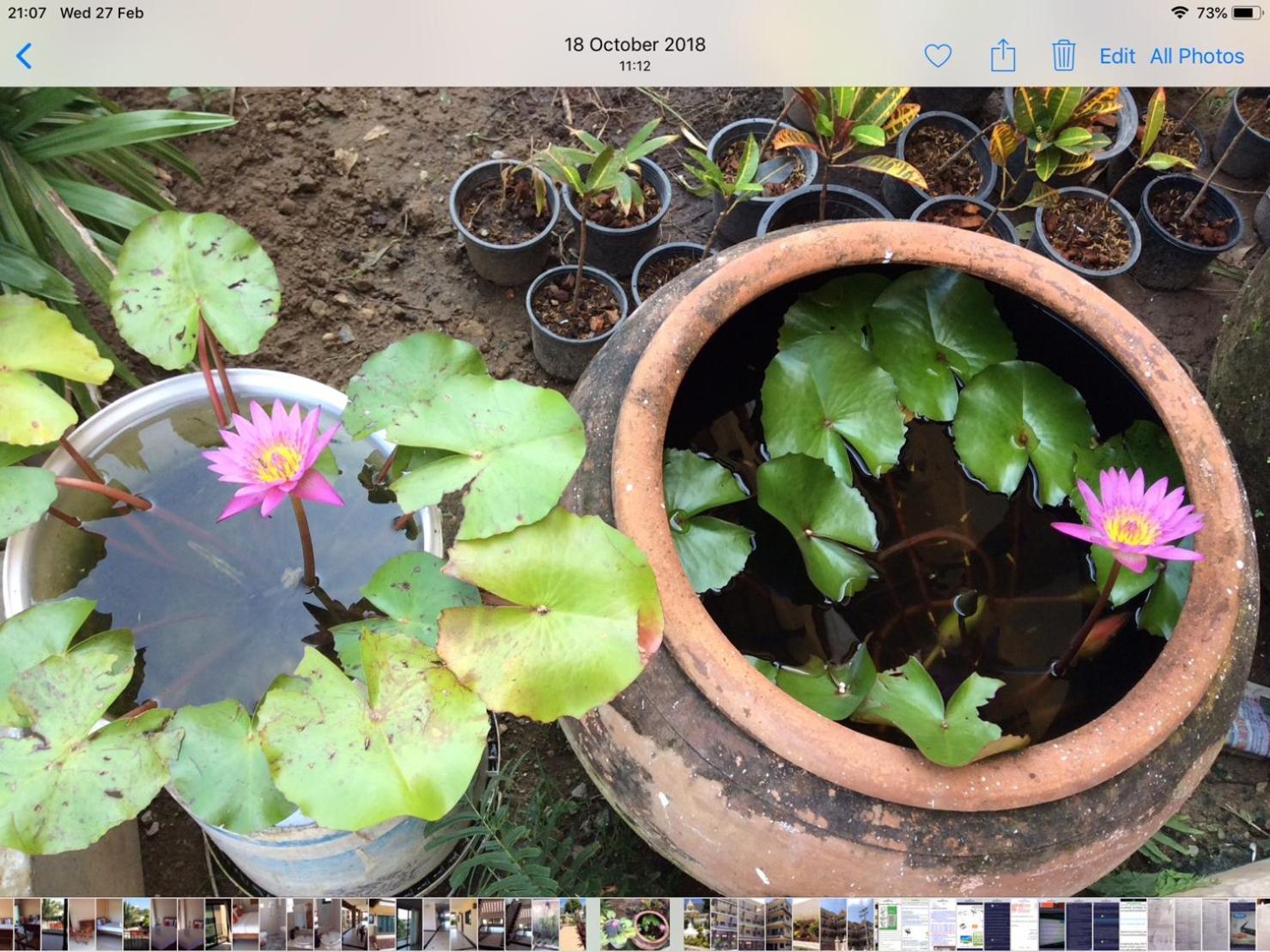 Laph Kham House Aparthotel เชียงใหม่ ภายนอก รูปภาพ