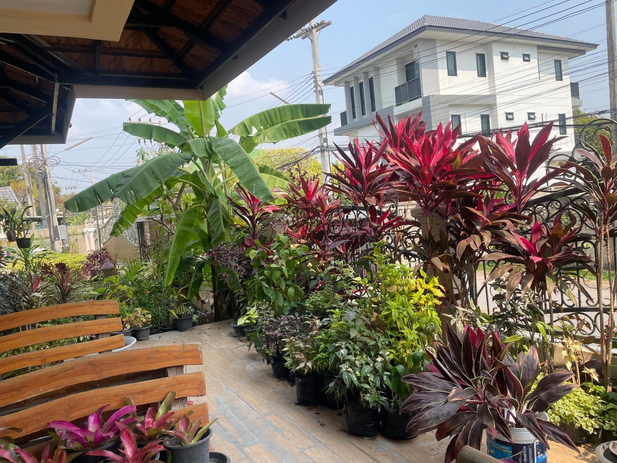 Laph Kham House Aparthotel เชียงใหม่ ภายนอก รูปภาพ